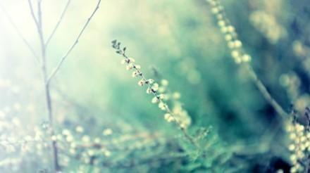 團隊充滿正能量的句子簡短