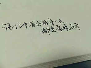 最好的,句子,能量,簡介