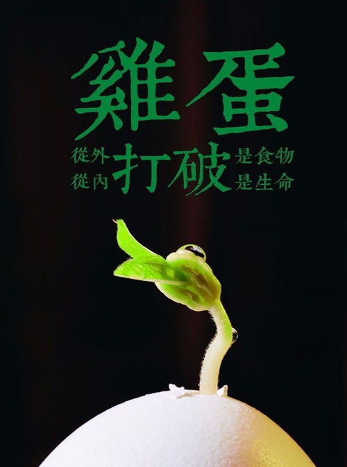 一切都會(huì)好起來(lái)正能量的句子