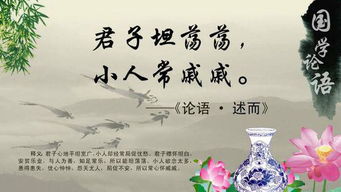 鄙視小人的內(nèi)涵句子,對付小人的正能量句子,鄙視那些小人的句子