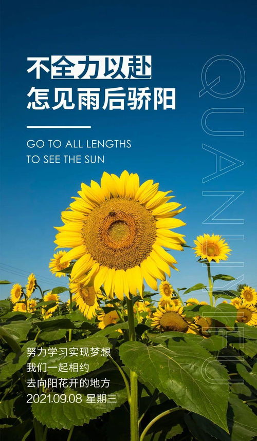 句子,能量,下午,問候語