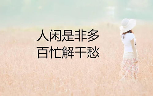 句句精辟的正能量句子,簡(jiǎn)短精辟的正能量句子,早晨正能量勵(lì)志的句子,簡(jiǎn)短精辟