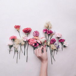 熱愛生活正能量的句子短句,熱愛生活熱愛運(yùn)動(dòng)正能量的句子,熱愛生活熱愛美食正能量的句子