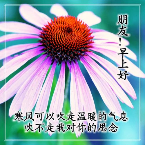 句子,能量,溫柔,溫暖