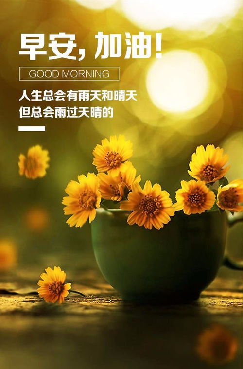 情感心語簡短正能量的句子