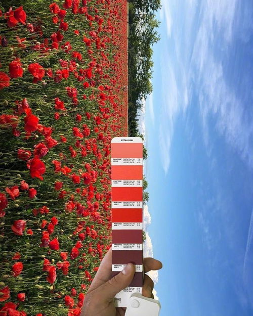 句子,體貼,能量,溫柔