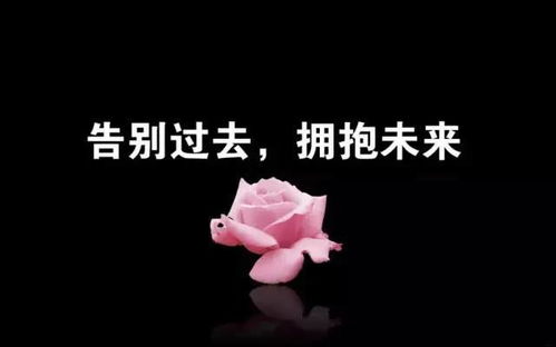 發(fā)朋友圈的句子正能量,早晨的句子發(fā)朋友圈正能量,朋友圈晚安正能量的句子