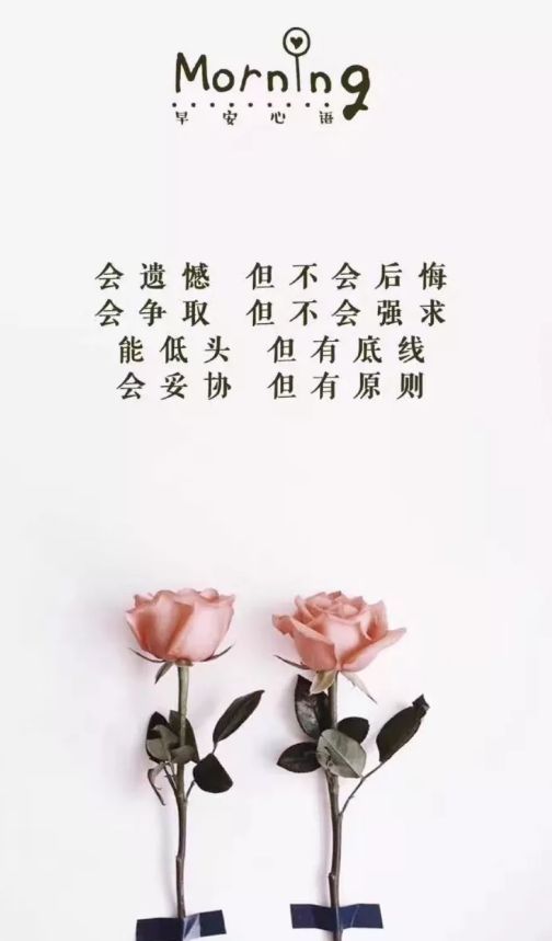 校園里正能量的句子