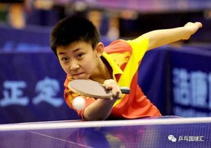 關(guān)于打乒乓球的句子,喜歡打乒乓球的句子,打乒乓球的好句子