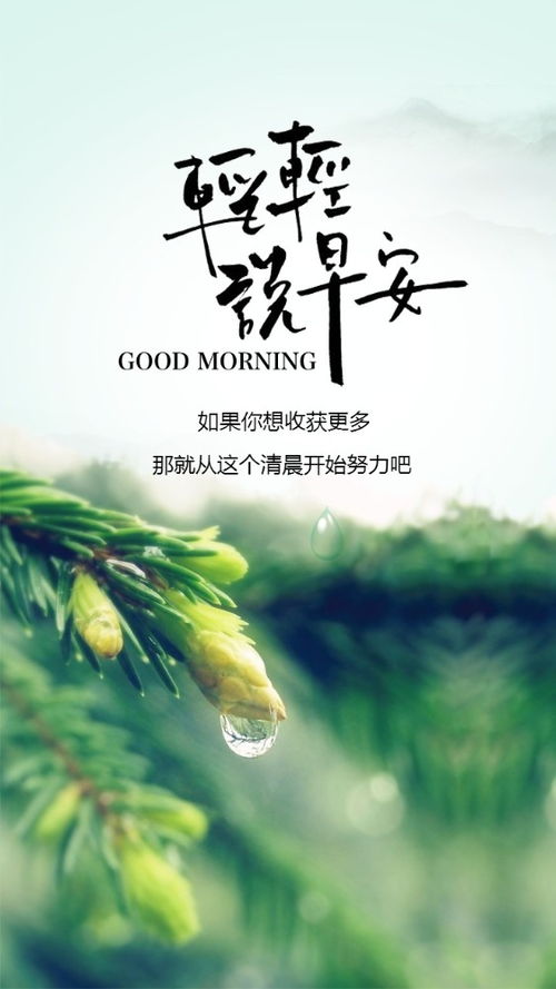 激勵(lì)人生的正能量句子,人生正能量的經(jīng)典句子,人生正能量心態(tài)句子