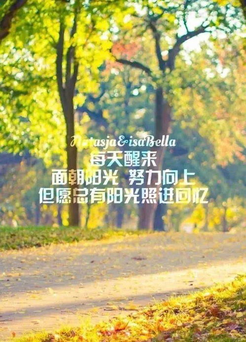 冬天早上發(fā)的正能量句子,冬天早上滿滿的正能量句子,適合早上正能量的短句子