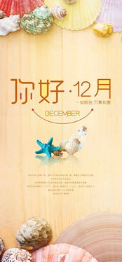 迎接12月的正能量句子