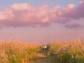 網(wǎng)易云熱評(píng)句子正能量