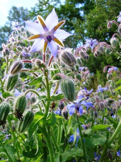 正能量的人生感悟句子字字珠璣百讀不厭