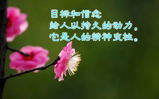 簡(jiǎn)短,句子,唯美,能量