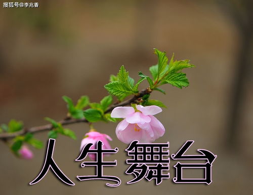 最好的,句子,能量,舞臺