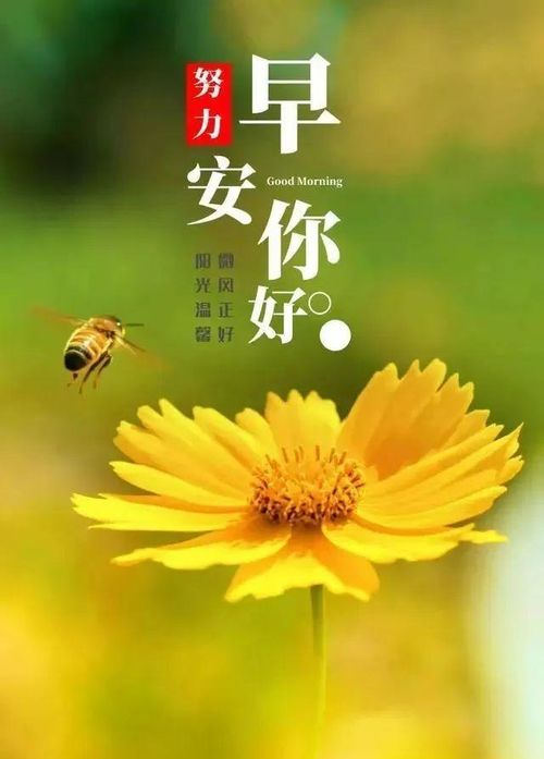 陽光心態(tài)正能量的句子簡短