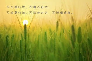 勵(lì)志的句子正能量致自己,正能量句子勵(lì)志短句子朋友圈,正能量句子勵(lì)志短句子心靈雞湯