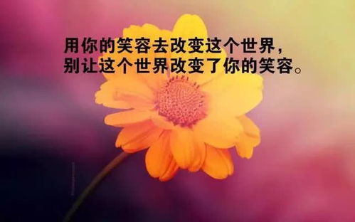 正能量祝福生日的句子,朋友互相祝福正能量的句子,祝福孤兒正能量句子