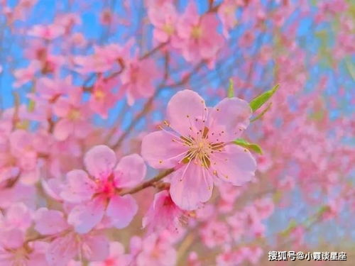 句子,能量,大海,陽光