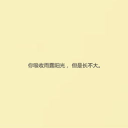 作文,句子,能量,宣傳