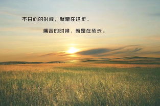 簡短,句子,勵(lì)志,能量