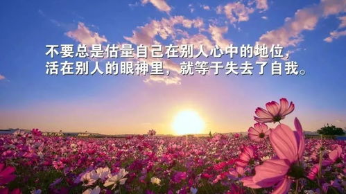 正能量句子帶給我的感受是什么