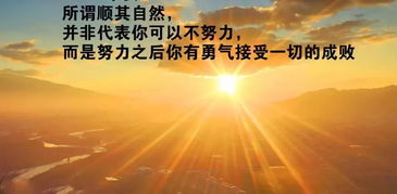 句子,激勵(lì),能量,奮斗