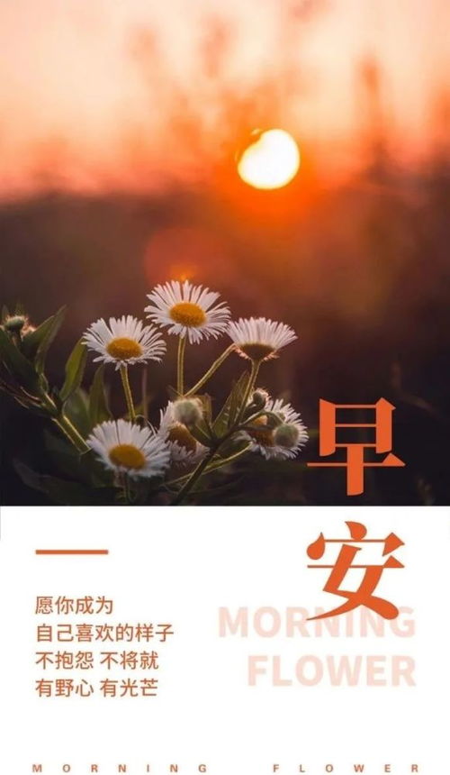 正能量暖心的句子說(shuō)說(shuō)心情