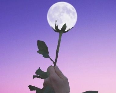 句子,能量,鼓勵,心情