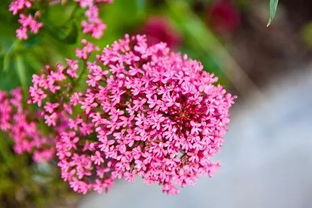 人生積極樂觀正能量句子簡短