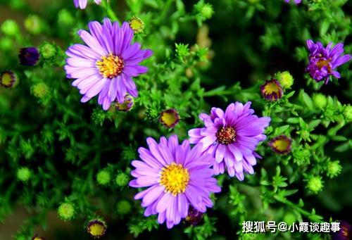 贊美傳播正能量的句子,學校傳播正能量的句子,關(guān)于傳播正能量,熱愛祖國的句子