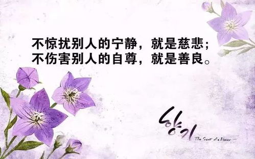 早安語(yǔ)錄正能量的句子,健康語(yǔ)錄正能量句子,工作語(yǔ)錄正能量句子