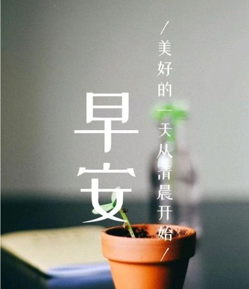 關(guān)于抬頭正能量的句子