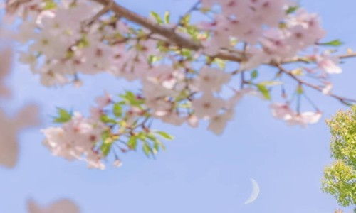 充滿陽光的句子正能量的句子,新的一天充滿陽光正能量的句子,早上充滿陽光正能量的句子