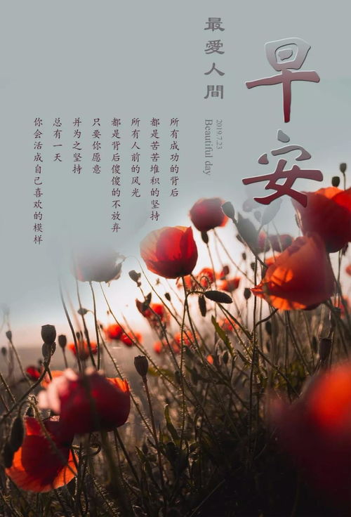 女人早安正能量簡單一句話,2021早安正能量簡單一句話,早安正能量簡單一句話2021朋友圈