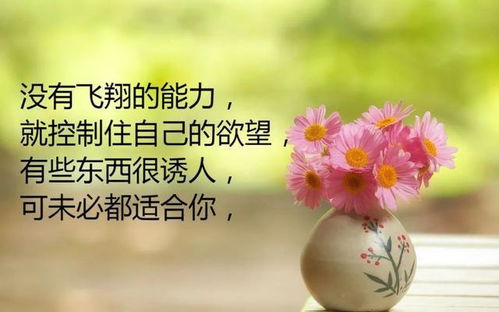 早安,句子,朋友圈,能量