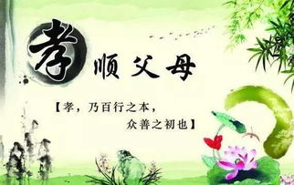 孝順,句子,能量,奶奶