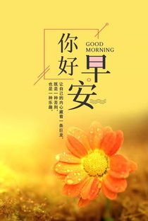 句子,能量,全集,經(jīng)典