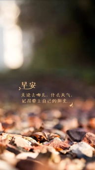 朋友圈正能量句子大全唯美,銷售朋友圈正能量經(jīng)典句子,朋友圈正能量經(jīng)典的句子說說