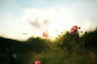 騰訊正能量句子