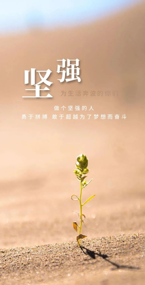 短句,句子,能量,分享