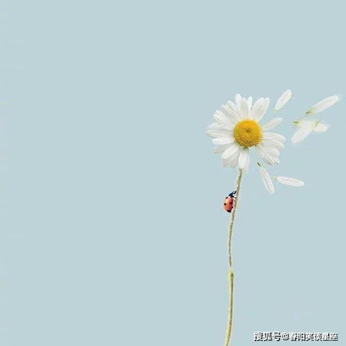 適合正能量的朋友圈句子,適合旅游正能量的句子,適合小朋友的正能量的句子