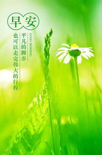 微商發(fā)朋友圈的句子正能量微信號(hào)