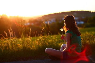 有愛正能量句子