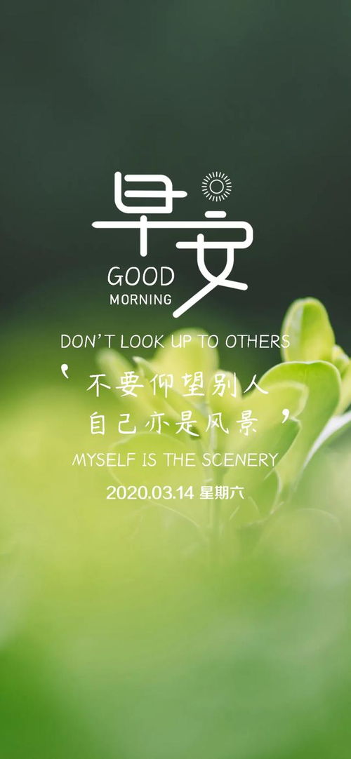 贊美好人正能量的句子,贊美好人好事正能量的句子,贊美團(tuán)隊精神正能量的句子