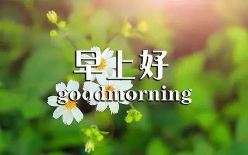 早安正能量句子短句子