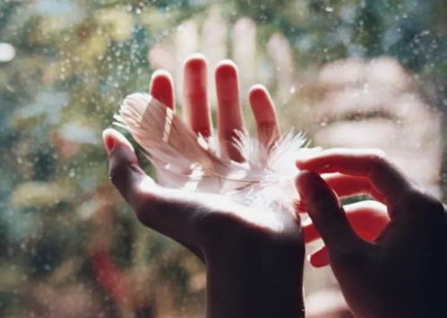 抖音發(fā)圈句子正能量,抖音簡(jiǎn)介最好的句子正能量,抖音簽名正能量句子