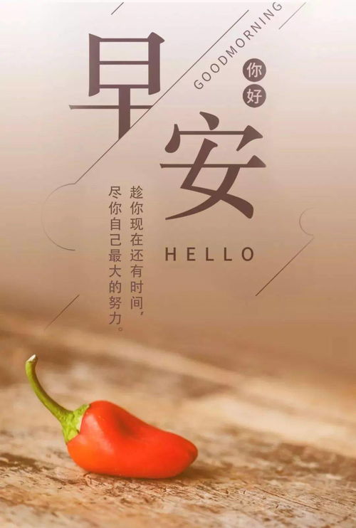 哲理,句子,能量,暖心正