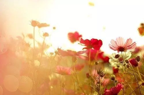 積極向上,句子,能量,學生